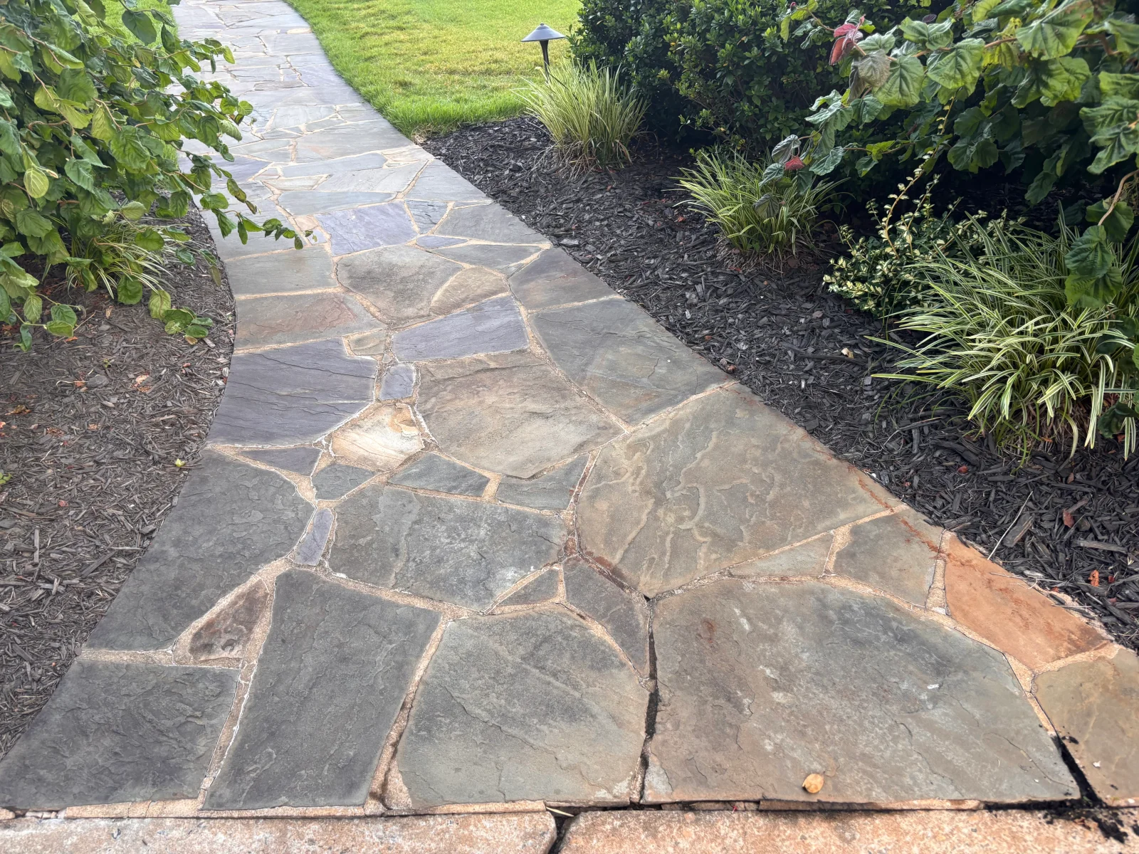 Irregular flagstone pathway with tan and gray stones and mortar joints through garden beds