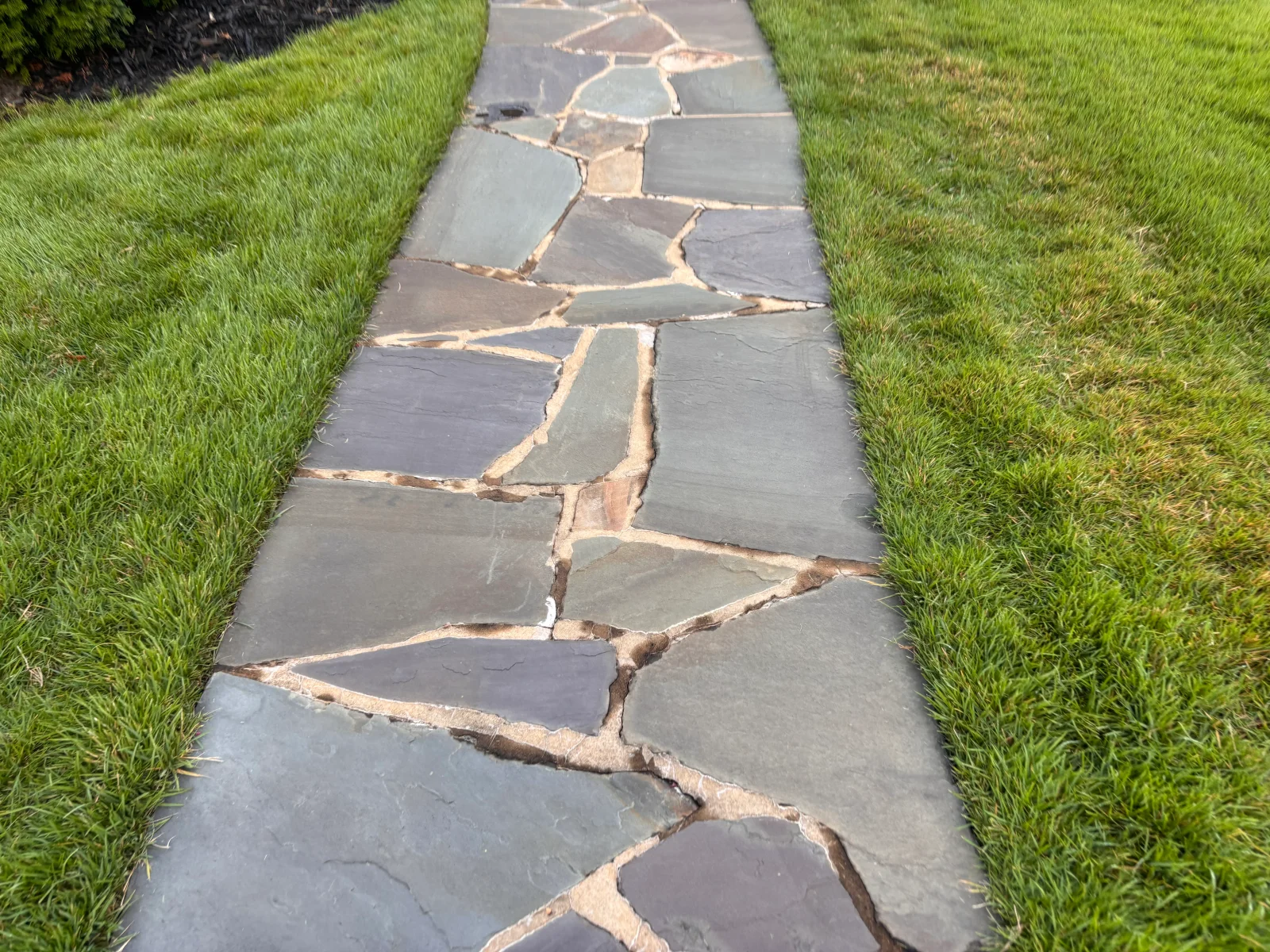 Irregular flagstone pathway with mortared joints between slate pieces, bordered by green lawn