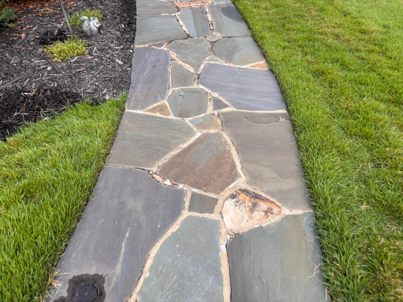 Irregular flagstone pathway with mortar joints between green lawn borders