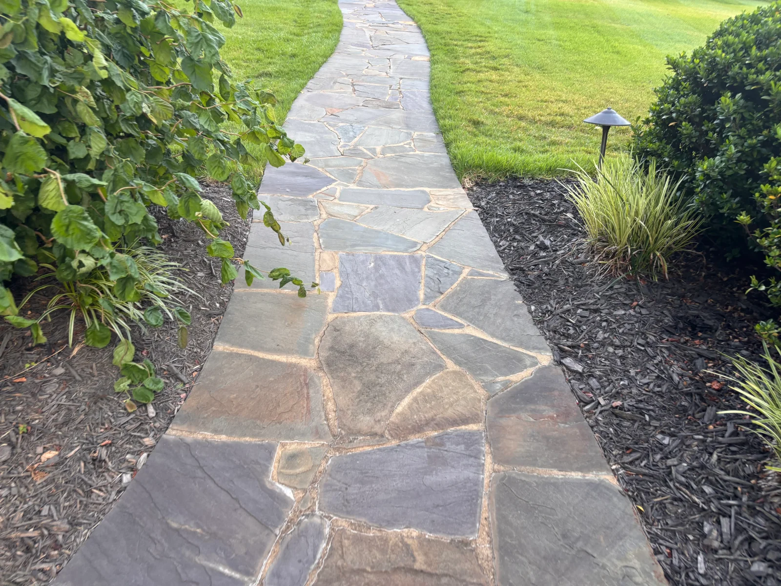 Flagstone pathway with mortared joints bordered by mulch beds and ornamental plantings