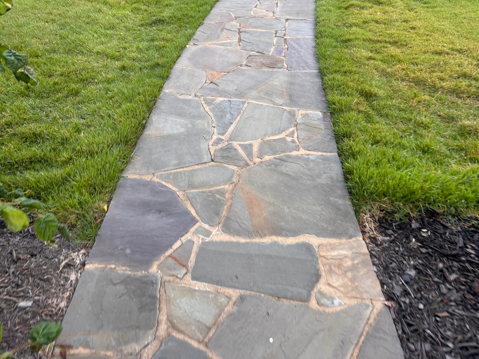 Irregular flagstone pathway with tan mortar joints between grass lawn borders