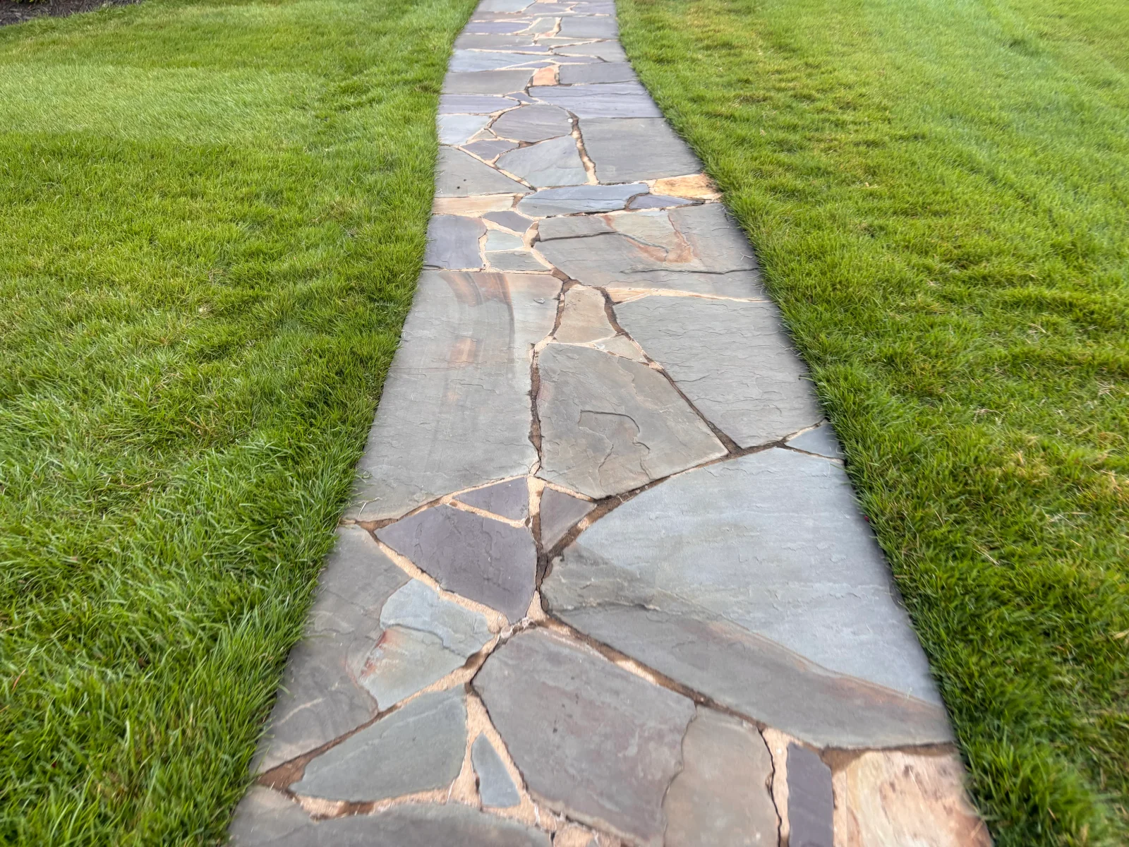 Irregular flagstone walkway with natural edges and sand joints between lawn areas